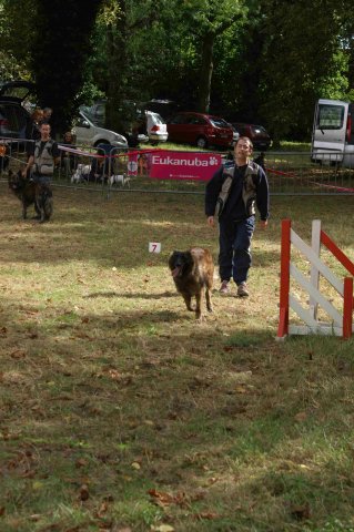 foire-haricots 2011-09-17et18
